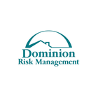 Dominion Risk Online icon
