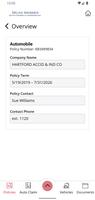 DeLuca Insurance Services Ltd. screenshot 3