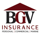 BGV Insurance icon