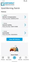 Krywolt Insurance Brokers screenshot 1