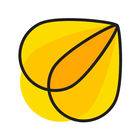 Ephlin Insurance Group icon