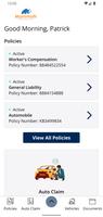 Mammoth Insurance Inc. Online screenshot 1
