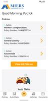 Miers Insurance screenshot 1
