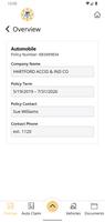 Demulling & Slama Insurance screenshot 3