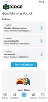 Ridge Insurance and Registry screenshot 1