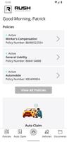 Rush Insurance Group Online screenshot 1