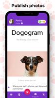eTrainDog постер