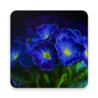 Blue Flower Wallpaper ไอคอน