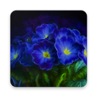 Blue Flower Wallpaper icône
