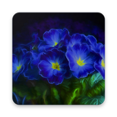 Blue Flower Wallpaper icon