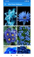 پوستر Blue Flower Wallpaper