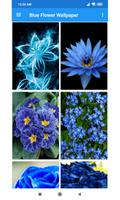 Blue Flower Wallpaper 海報
