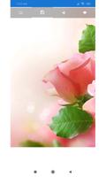 Pink Rose Wallpaper 截图 1