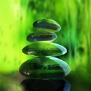 Green Zen Live Wallpaper APK