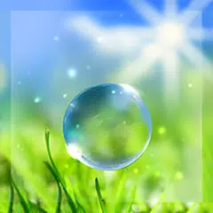 Spring Live Wallpaper XAPK download
