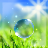 Spring Live Wallpaper icône