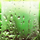 Rain Live Wallpaper APK