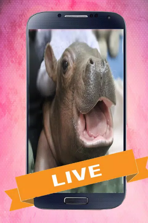 Baby Hippo Live Wallpaper APK for Android Download
