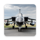 F-15  Eagle Live Wallpaper icono