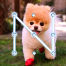 Puppy Dog Pattern Lock Screen APK