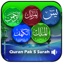 APK Quran Pak Surah Offline