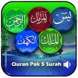 Quran Pak Surah Offline icône