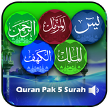 Quran Pak Surah Offline ícone