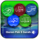 Quran Pak Surah Offline APK