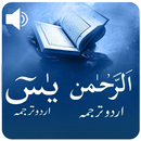 Surah Yaseen - Surah Rehman of APK