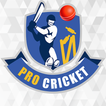 Pro Cricket Coaching Cricket आइकन