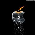 Beautiful Wallpapers