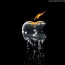 Beautiful Wallpapers-APK
