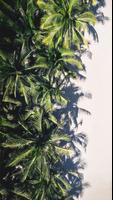 Beach Wallpapers 2022 syot layar 3