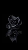 Black Wallpapers poster