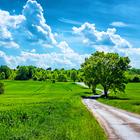 Day Wallpapers 2022 icon