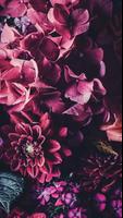 Flowers Wallpapers poster