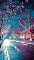 Japan Wallpapers পোস্টার