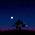 Night Wallpapers
