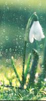 Rain Sounds syot layar 2