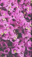 Spring Wallpapers 2022 اسکرین شاٹ 3