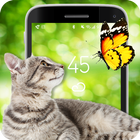 Screen Fun أيقونة