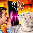 Traducteur de chat-meow talk