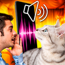 Traducteur de chat-meow talk APK