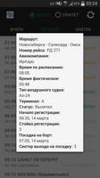Аэропорт Толмачево Screenshot 1