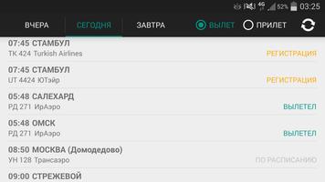Аэропорт Толмачево Screenshot 2