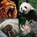 Guess the Animal - Animal Game APK