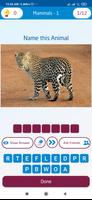 Guess the Animal screenshot 3