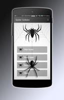 Spider Solitaire 포스터