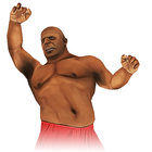 Kung Fu icône