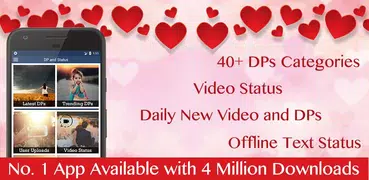 DP and Status